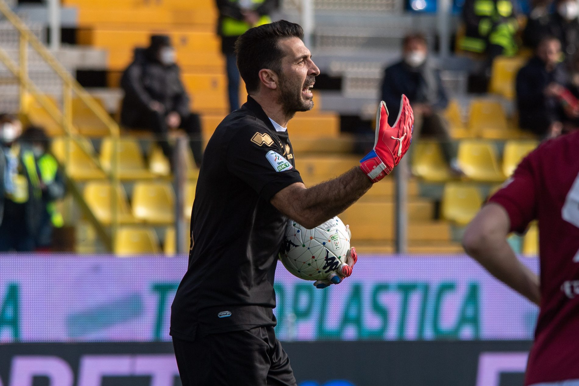 Buffon