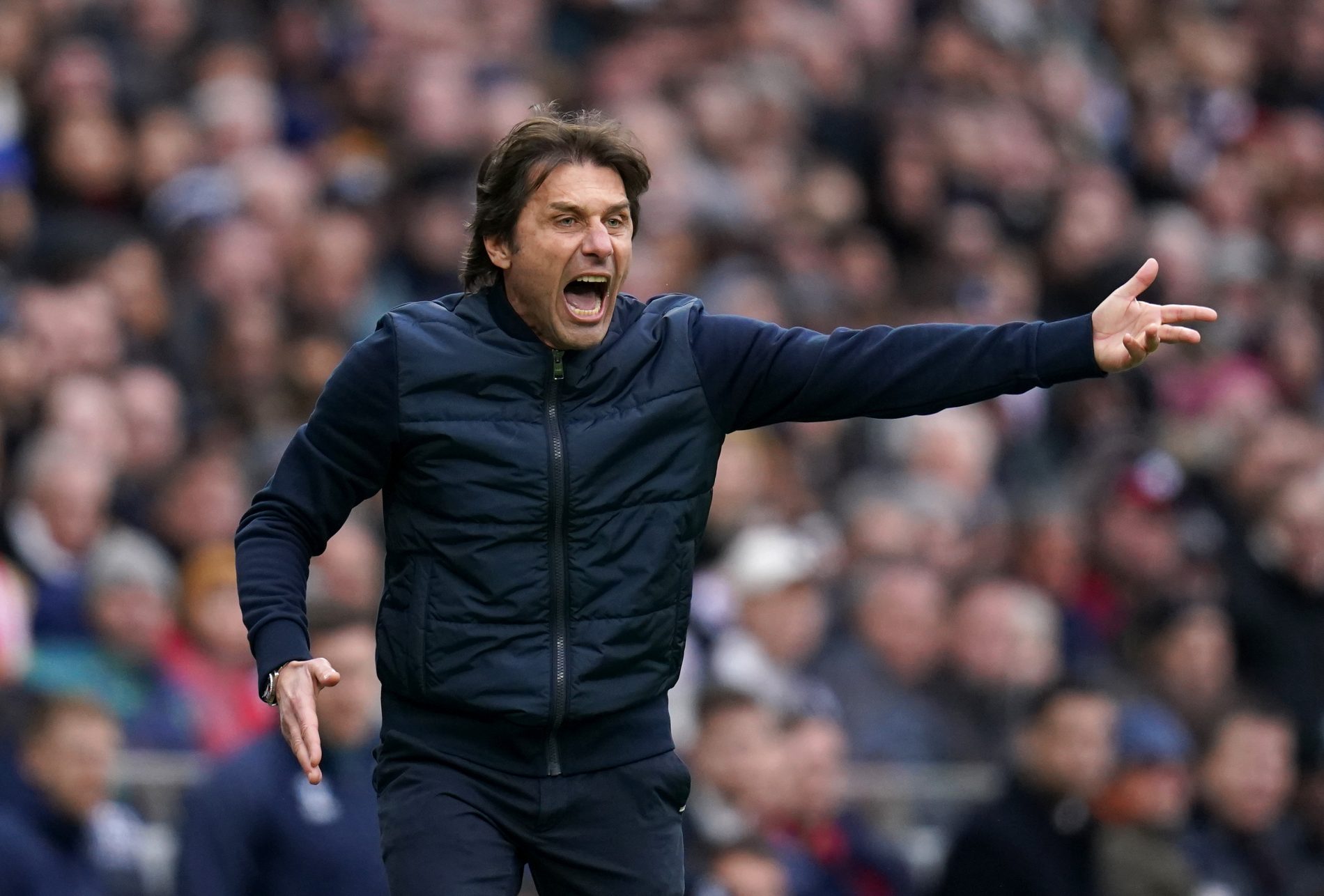 Conte