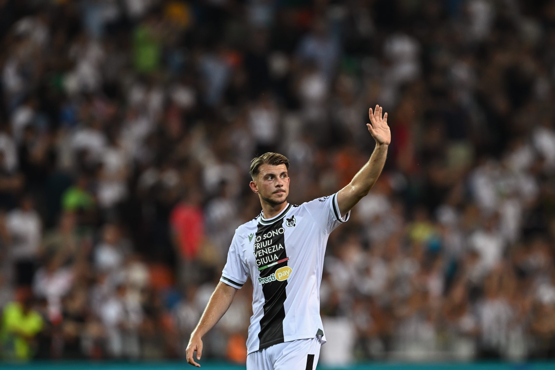 samardzic