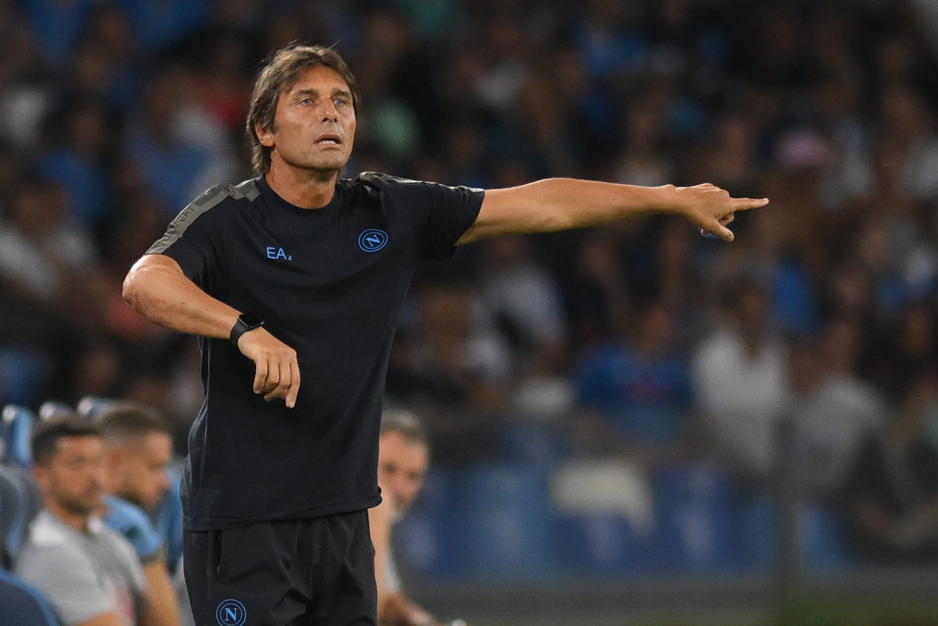 conte