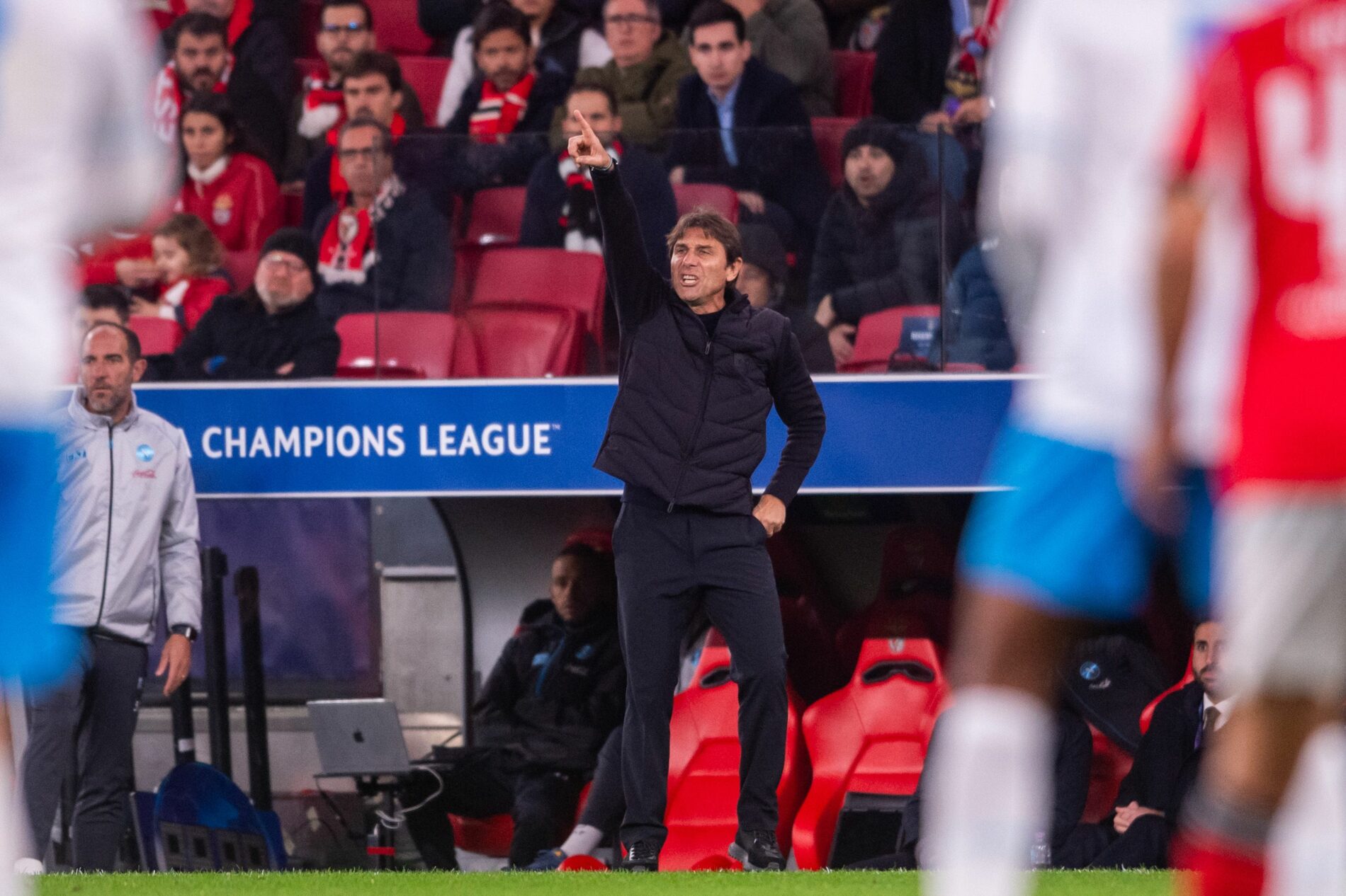 conte